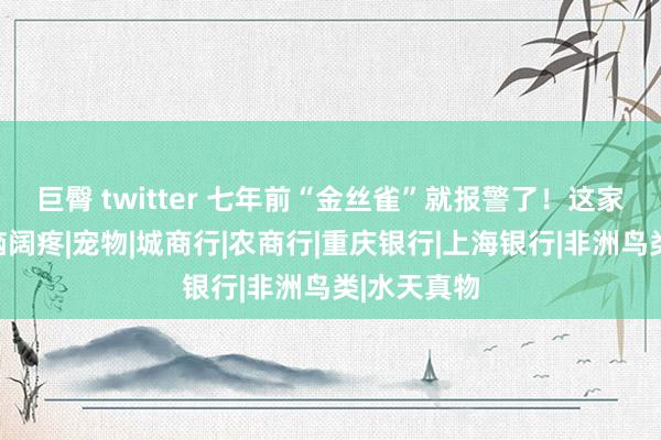 巨臀 twitter 七年前“金丝雀”就报警了！这家银行咫尺脑阔疼|宠物|城商行|农商行|重庆银行|上海银行|非洲鸟类|水天真物