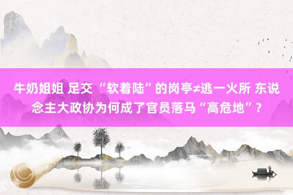 牛奶姐姐 足交 “软着陆”的岗亭≠逃一火所 东说念主大政协为何成了官员落马“高危地”？