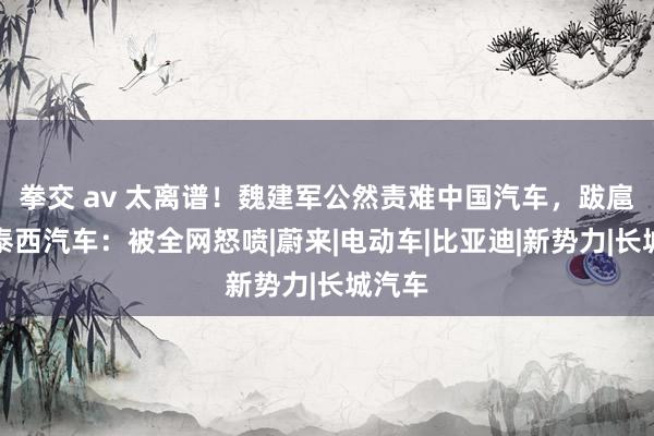 拳交 av 太离谱！魏建军公然责难中国汽车，跋扈吹捧泰西汽车：被全网怒喷|蔚来|电动车|比亚迪|新势力|长城汽车