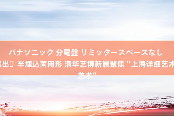 パナソニック 分電盤 リミッタースペースなし 露出・半埋込両用形 清华艺博新展聚焦“上海详细艺术”