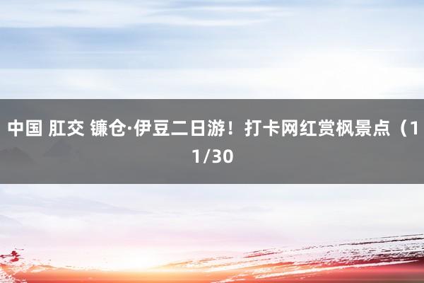 中国 肛交 镰仓·伊豆二日游！打卡网红赏枫景点（11/30