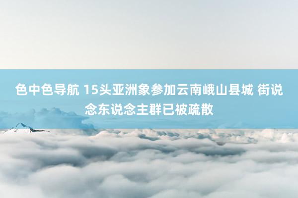 色中色导航 15头亚洲象参加云南峨山县城 街说念东说念主群已被疏散