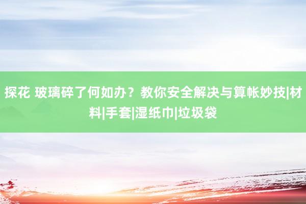 探花 玻璃碎了何如办？教你安全解决与算帐妙技|材料|手套|湿纸巾|垃圾袋