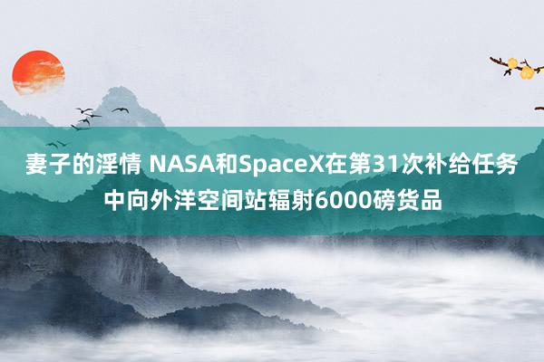 妻子的淫情 NASA和SpaceX在第31次补给任务中向外洋