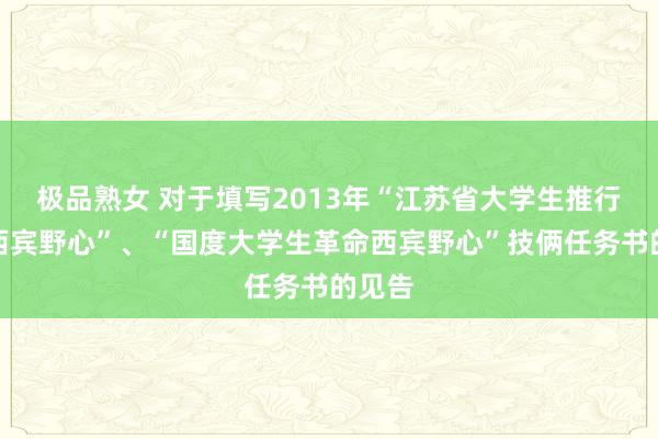 极品熟女 对于填写2013年“江苏省大学生推行革命西宾野心”