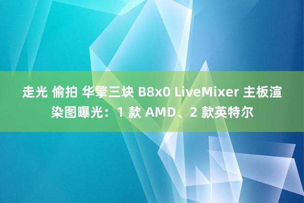 走光 偷拍 华擎三块 B8x0 LiveMixer 主板渲染